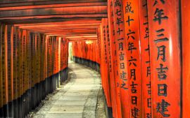 Дорога Дорога