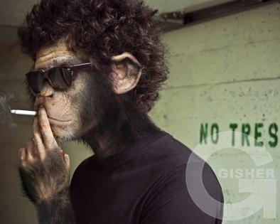 Креативная персона