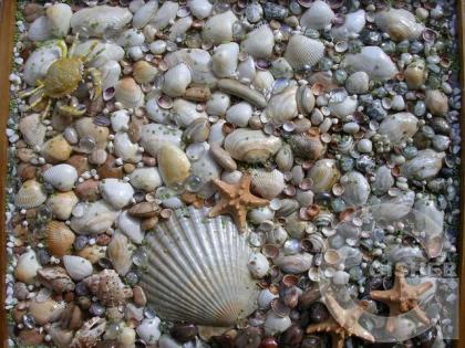 Морское дно