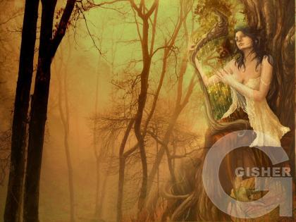 музыка леса