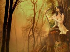 музыка леса