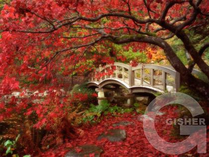 Осенняя Япония.