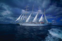 парусник парусник