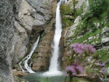 Природа Природа