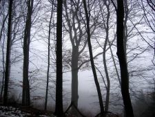 Туман Туман