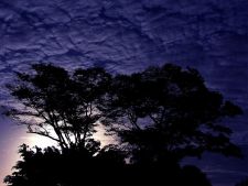 Утро или вечер?