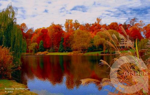 Буйство красок