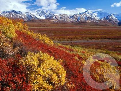 ....Осенние краски