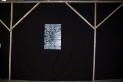 Открытие выставки "От красоты до безумия"