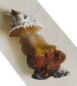 Pendent, Agate, Silver III