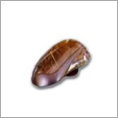 Venus - Haarquartz. [height 5 cm.]