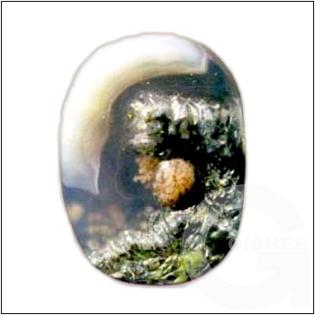 Paradise Apple [2,8x3,8см].j