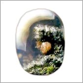 Paradise Apple [2,8x3,8см].j