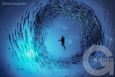 Падводная Братва