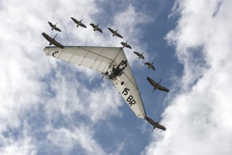 Летим вместе!