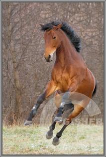 Скачок к свободе!