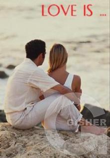 love is...