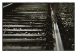 неси меня река