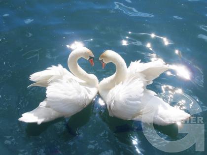 Вот это любовь!)