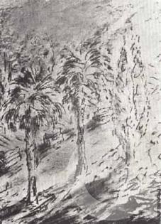 Small glade (Riviera Park Sochi)