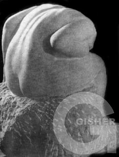 The Silent Grief, 1924, crimson marble, Zateyans' family collection