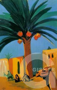 A date palm. 1911
