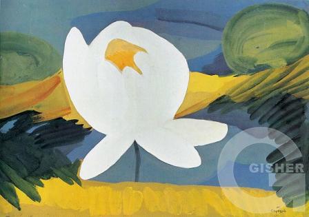 A lotus flower. 1911