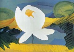 A lotus flower. 1911