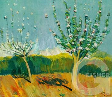Blossoming apple trees. 1912