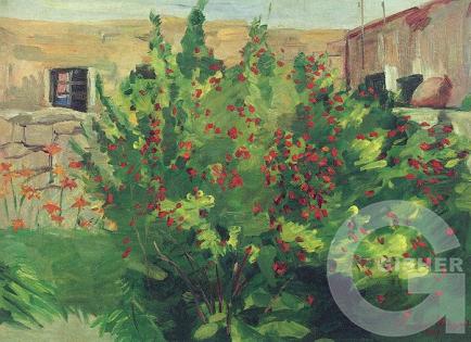 Blossoming pomegranate tree. 1947