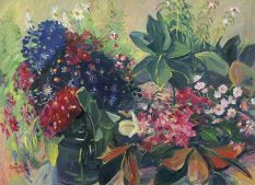 Flowers of the Sevan mountain pass. 1958