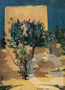 Shrubs of Lilac. 1922