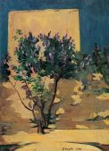 Shrubs of Lilac. 1922