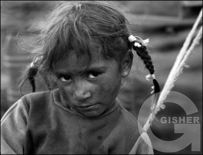 Shepherd's Family - 1