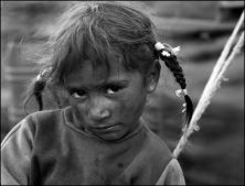 Shepherd's Family - 1