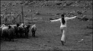 Shepherd's Family - 10