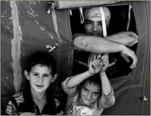 Shepherd's Family - 11