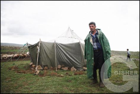 Shepherd's Family - 2