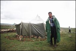 Shepherd's Family - 2