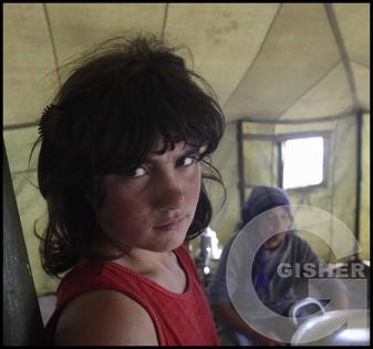 Shepherd's Family - 3