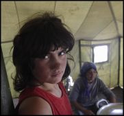 Shepherd's Family - 3