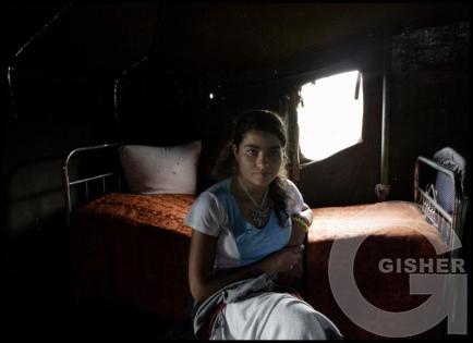 Shepherd's Family - 4