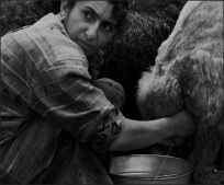 Shepherd's Family - 6