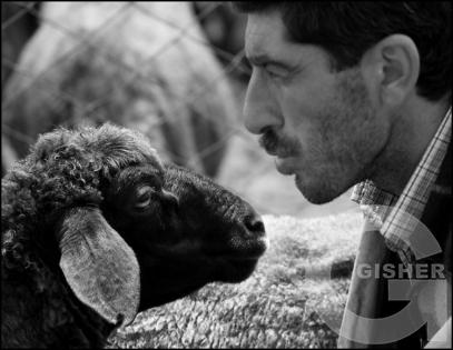 Shepherd's Family - 9