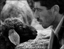 Shepherd's Family - 9