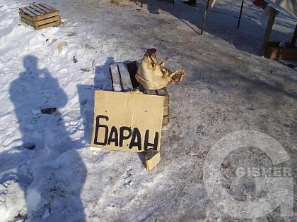 Баран