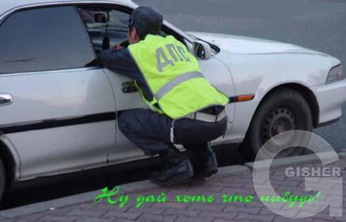 Дай Пожалуйста Стольник