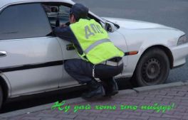 Дай Пожалуйста Стольник