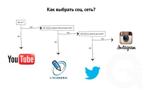Как выбрать соц. сеть?