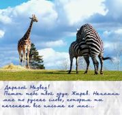 Напомни мне то русское слово)